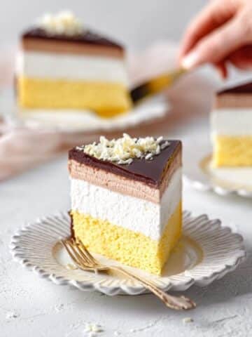 Bird's Milk Cake Recipe (Ptichye Moloko) with Sour Cream Mousse and Ganache Recipe