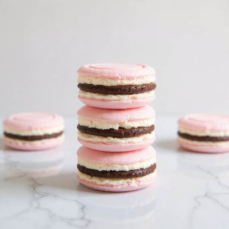 French Meringue Chocolate Sandwich Cookies with Orange Infused Meringue and Nutella Recipe