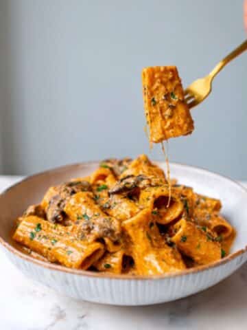 Creamy Tomato Garlic Pasta Recipe
