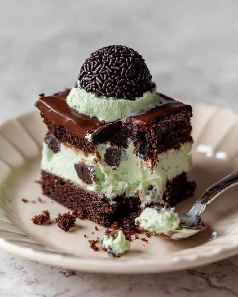 Mint Chocolate Chip Ice Cream Cake Recipe