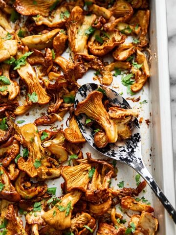 Crispy Chicken Carnitas Recipe