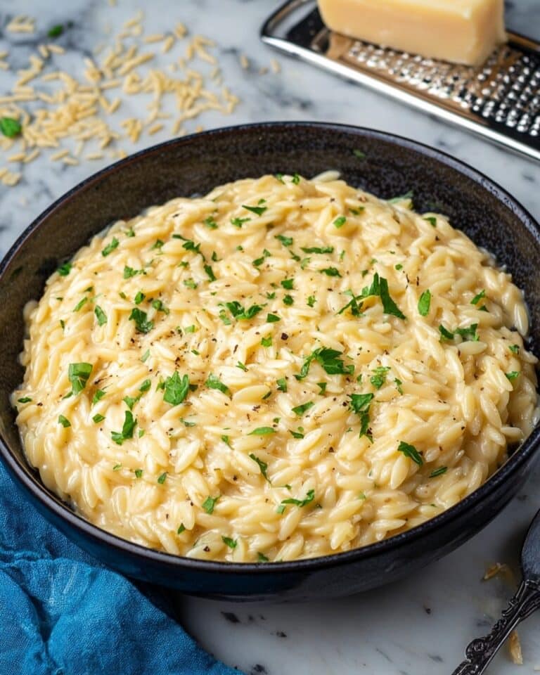 Creamy Garlic Parmesan Orzo Recipe